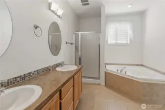 Nice sized primary bath