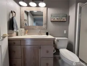 Lower level 3/4 bath (with heat lamp).