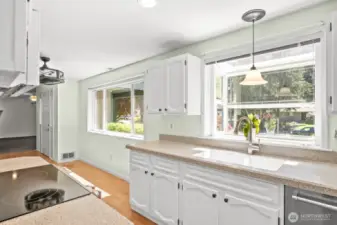 Large counter top space and plenty of natural light