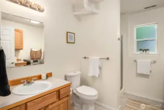 Lower level 3/4 bath
