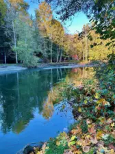 Duckabush River nearby