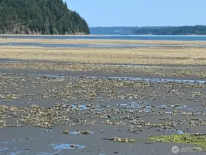 Community beach access