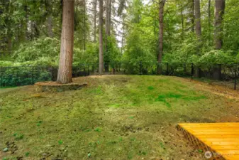 Backyard-Spring potential (picture includes green coloring of grass)