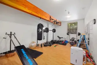 There is a true workout gym on the lower level beside the safe room which is secured.