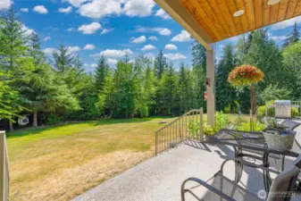 Looking across the patio across the lawn with the woods that buffer the lake.