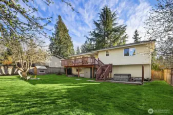 Absolutely incredible yard space! Flat, and fully fenced with plenty of space to explore whether you have two or four legs!