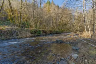 Creek through property