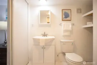 Downstairs bath