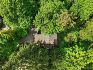 A backdrop of mature trees provides a sense of seclusion & privacy.