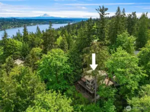 A hidden sanctuary at Mercer Island's desirable North End.