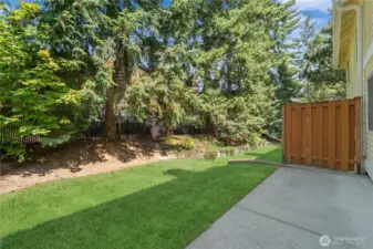 Patio off dining area