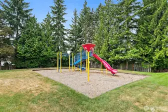 Community park