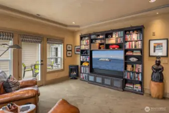 Custom blackout-lined Roman shades frame the wall of windows and feature self-retracting functionality—perfect for movie night!