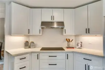 Another feature of this new kitchen is the custom induction stove. Prefer cooking with gas? No problem. The kitchen is plumbed for gas (and wired for a 2nd microwave) to keep everybody happy. Notice the under-cabinet lighting as well.