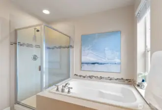 Master Bathroom Tub & Shower