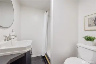 And here's the great Bathroom, with a step-in Shower