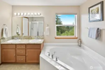Primary suite bathroom.