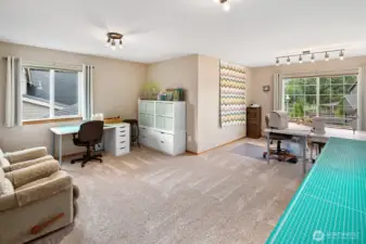 HUGE, HUGE, HUGE bonus room!