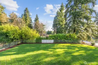 Backyard View from Deck