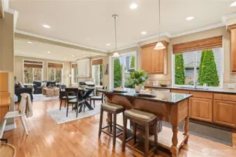 From the kitchen looking into the spacious living room overlooking the open area that feels like an extension of the neighoring park