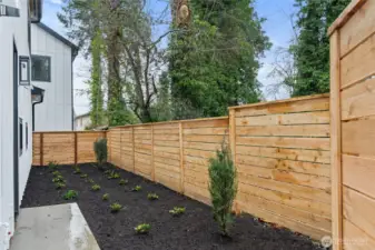 Fenced backyard