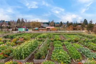 Virbrant garden - great opportunity to continue the great gardening throughout the property.