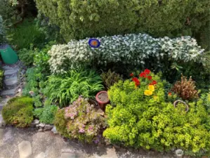 A lush garden filled with rotating blooms.