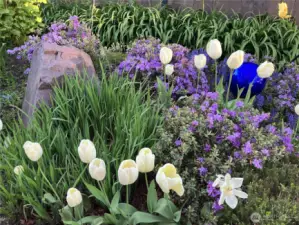 This is what you have to look forward to.