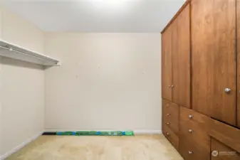 Walk-in closet with built-ins