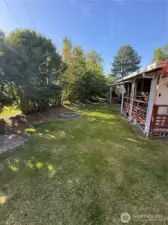 Back yard 3