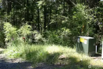 Transformer box with community water standpipe to the left
