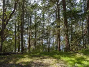 View from the upper portion of the property.