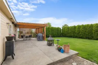Secluded back yard.