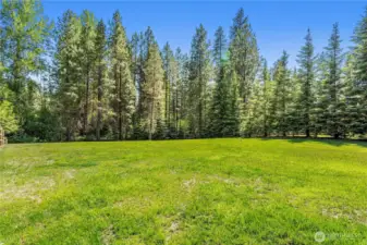 Pasture