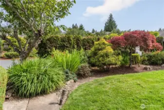 Lovley garden