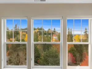 View from Living Room