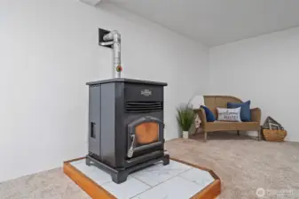 Pellet Stove in Bonus Room Downstairs