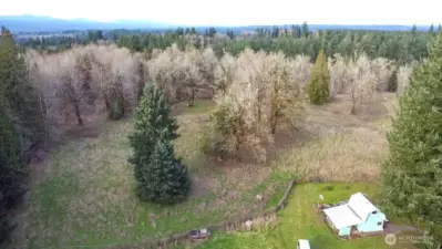 Back grazing/pasture area