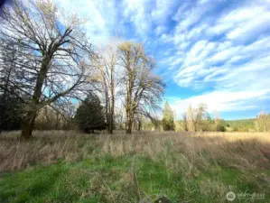 Back grazing/pasture area