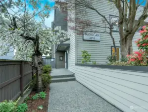 Beautiful main entry through the cherry trees.