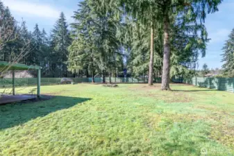 Bring Your Ideas To Complete The Back Yard