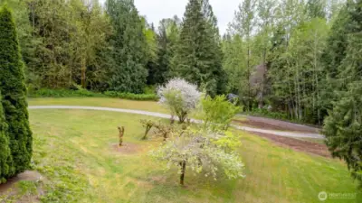 View from the front of the home looking out towards Innis Creek Road.