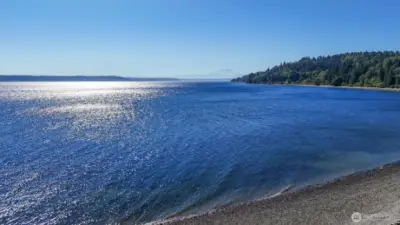 This could be YOUR own private beach where you can be the purveyor of not only your dreams but everyone who comes to your private paradise!