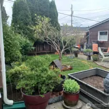 From the main house patio, this is a view of the back yard lawn.  The backyard is fenced and private.