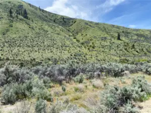 Water and Power at the street