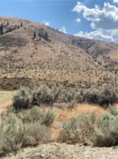 The babbling creek is just below, and then up the other side.. Watch wildlife and the seasons in Magical Pitcher Canyon