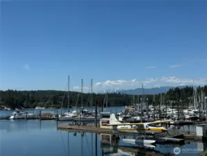 Port Ludlow Marina