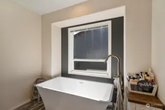 Primary Suite Bathtub