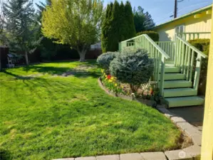 Back yard with shrubs and back deck.