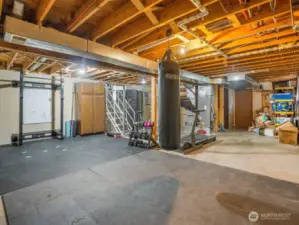 Unfinished basement
